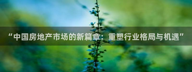 新宝5台卡：“中国房地产市场的新篇章：重塑行业格局与机遇”