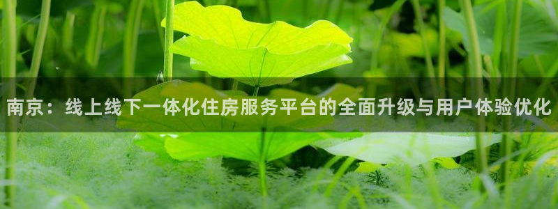 新宝5线路：南京：线上线下一体化住房服务平台的全面升级与用户
