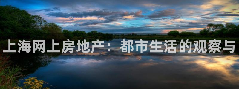 新宝5蒋74OOO5：上海网上房地产：都市生活的观察与