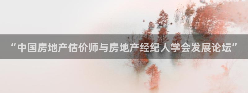 5新宝：“中国房地产估价师与房地产经纪人学会发展论坛”