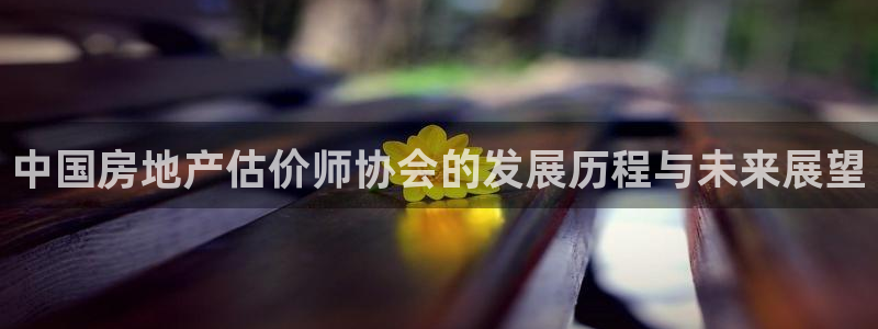 新宝5登录霸：中国房地产估价师协会的发展历程与未来展望