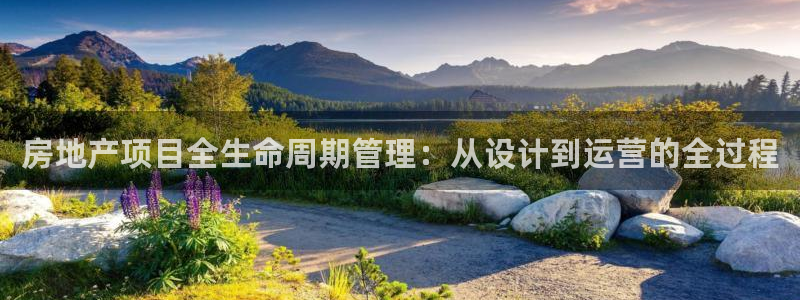 新宝5挂机：房地产项目全生命周期管理：从设计到运营的全过程