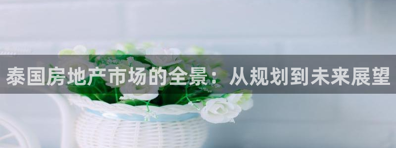 新宝5户端：泰国房地产市场的全景：从规划到未来展望