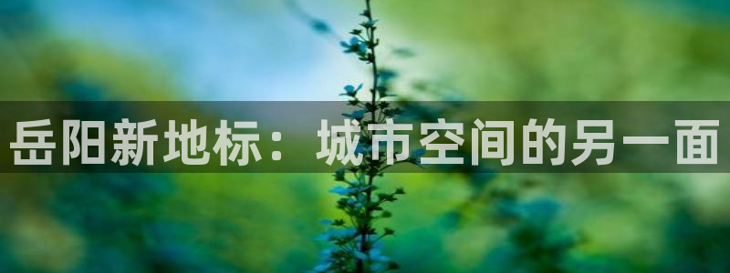 新宝5下载网址