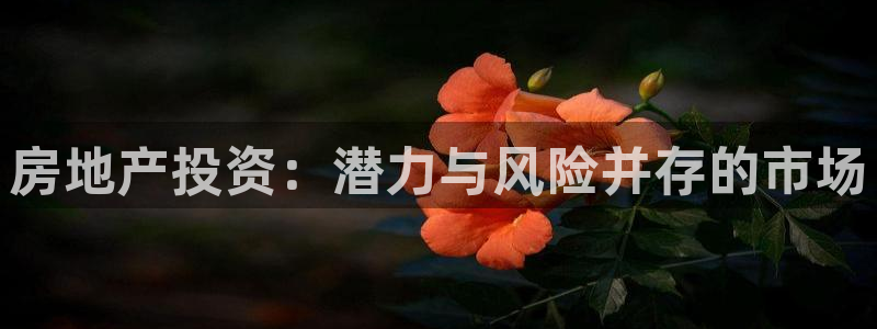 新宝5平台注册：房地产投资：潜力与风险并存的市场