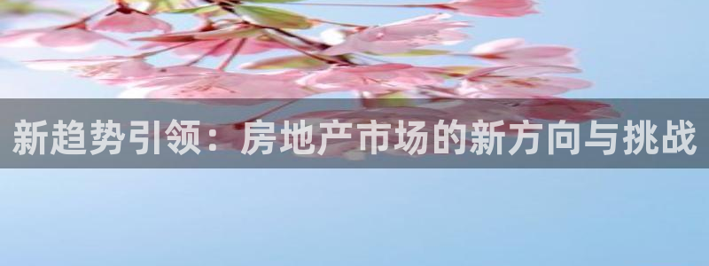 新宝5 代理：新趋势引领：房地产市场的新方向与挑战