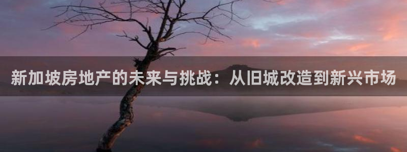 i新宝5：新加坡房地产的未来与挑战：从旧城改造到新兴市场