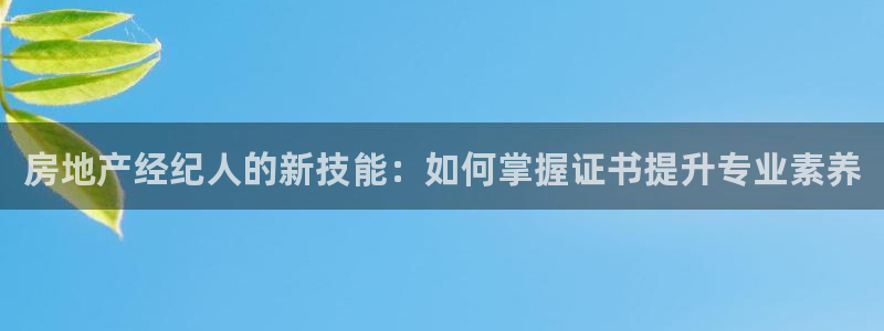 新宝5玩法
