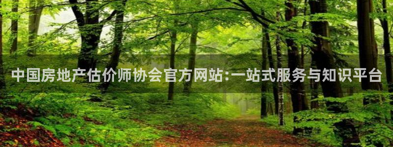 新宝5电脑：中国房地产估价师协会官方网站:一站式服务与知识平