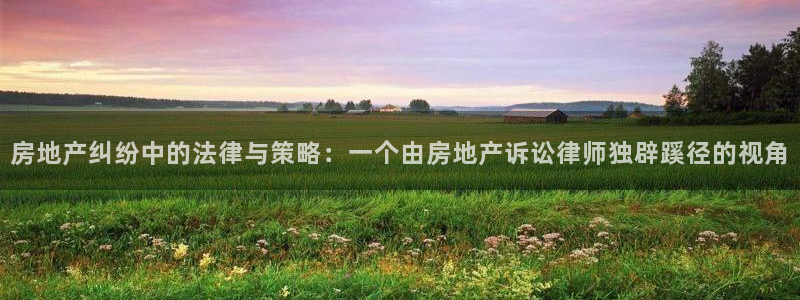 新宝5下载注册：房地产纠纷中的法律与策略：一个由房地产诉讼律