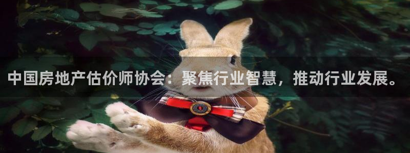 新宝5下载软件：中国房地产估价师协会：聚焦行业智慧，推动行业