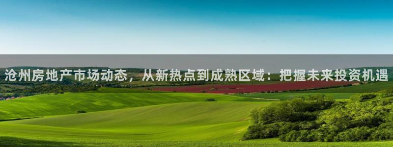新宝5的网址：沧州房地产市场动态，从新热点到成熟区域：把握未