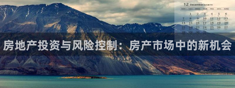 新宝5娱乐方：房地产投资与风险控制：房产市场中的新机会