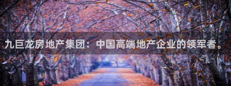 新宝5地址：九巨龙房地产集团：中国高端地产企业的领军者。