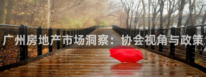 新宝5娱乐登录：广州房地产市场洞察：协会视角与政策