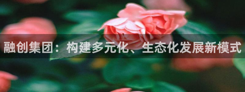 新宝5注册流程：融创集团：构建多元化、生态化发展新模式