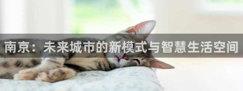 新宝5app手机下载：南京：未来城市的新模式与智慧生活空间