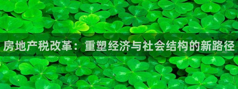 新宝5手机版登录：房地产税改革：重塑经济与社会结构的新路径