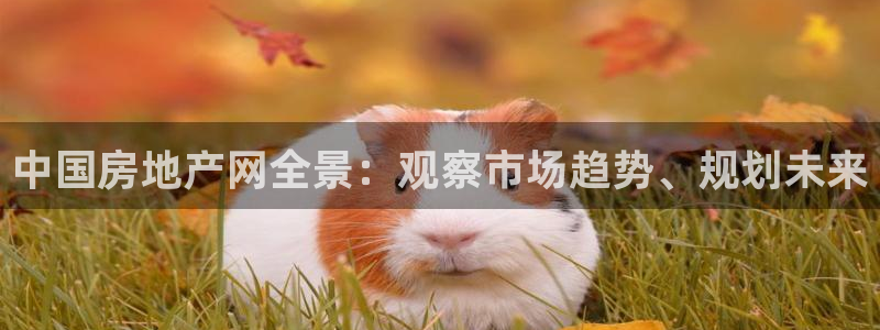 新宝5娱乐招商：中国房地产网全景：观察市场趋势、规划未来