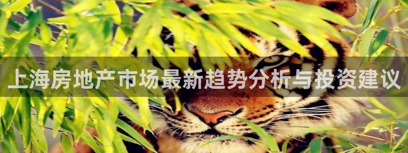 新宝5手机登陆：上海房地产市场最新趋势分析与投资建议
