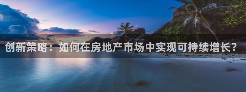 新宝rm5：创新策略：如何在房地产市场中实现可持续增长？