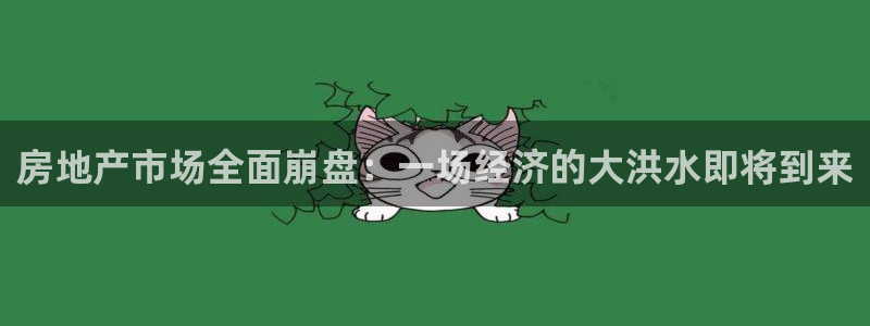 新宝5娱乐登陆：房地产市场全面崩盘：一场经济的大洪水即将到来