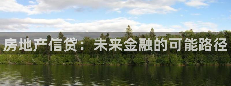 新宝5娱乐：房地产信贷：未来金融的可能路径