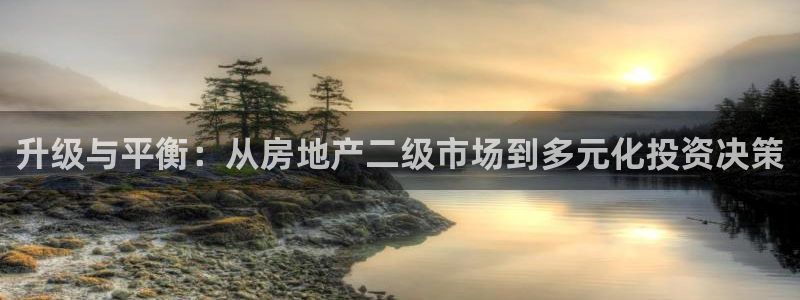 新宝那2O5O5O：升级与平衡：从房地产二级市场到多元化投资