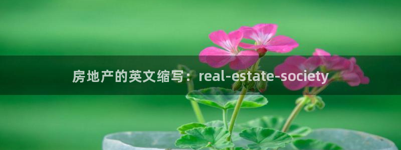 新宝5手机版：房地产的英文缩写：real-estate-so