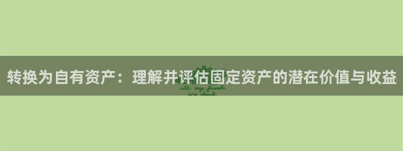 新宝5天：转换为自有资产：理解并评估固定资产的潜在价值与收益