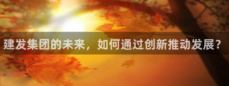新宝5娱乐如：建发集团的未来，如何通过创新推动发展？