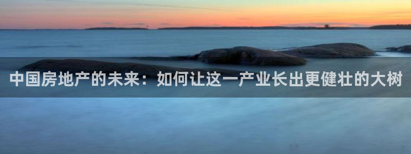 新宝娱乐5入口：中国房地产的未来：如何让这一产业长出更健壮的