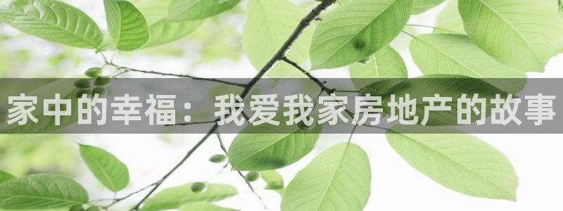 新宝5黑彩：家中的幸福：我爱我家房地产的故事