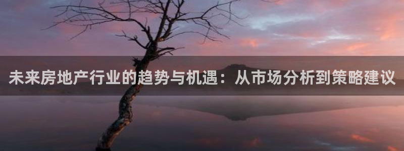 新宝5苹果手机下载：未来房地产行业的趋势与机遇：从市场分析到