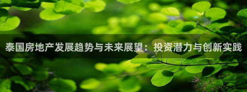 新宝5线路登录检测：泰国房地产发展趋势与未来展望：投资潜力与