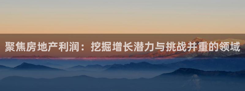 新宝5X：聚焦房地产利润：挖掘增长潜力与挑战并重的领域