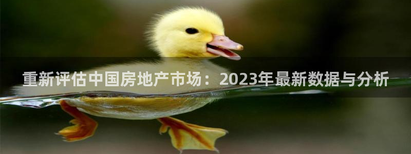 新宝5娱乐学：重新评估中国房地产市场：2023年最新数据与分
