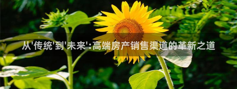 新宝5 代理：从\'传统\'到\'未来\':高端房产销售渠道