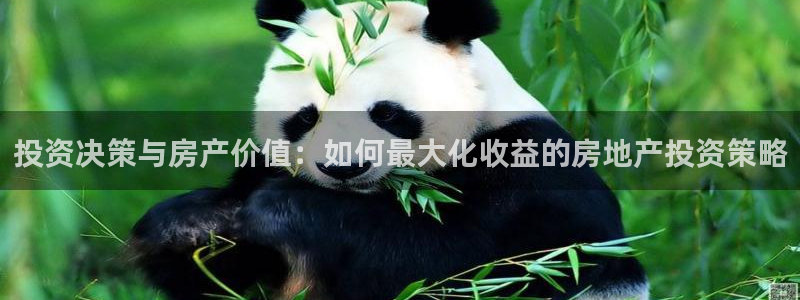 新宝5登录测速中心：投资决策与房产价值：如何最大化收益的房地