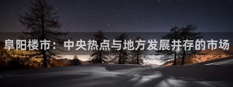 新宝5d：阜阳楼市：中央热点与地方发展并存的市场