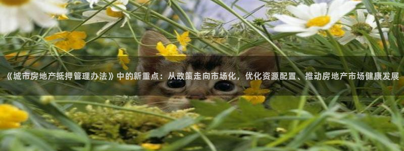 新宝5分彩：《城市房地产抵押管理办法》中的新重点：从政策走向