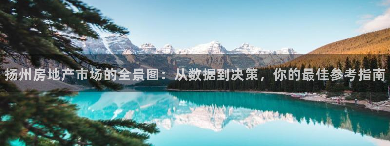 新宝5褚32OO59：扬州房地产市场的全景图：从数据到决策，