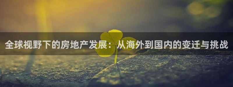 新宝5登录测速中心：全球视野下的房地产发展：从海外到国内的变