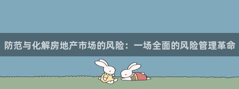 新宝5平台登录下载软件：防范与化解房地产市场的风险：一场全面