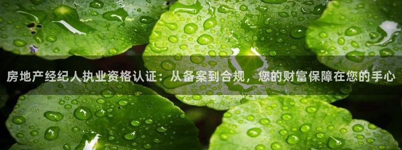 新宝5官方：房地产经纪人执业资格认证：从备案到合规，您的财富