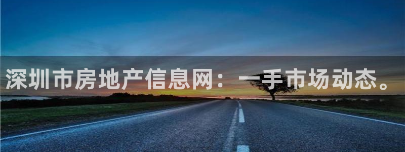 新宝5招商222111：深圳市房地产信息网：一手市场动态。