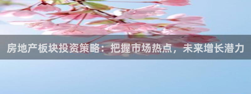 新宝5平台霸：房地产板块投资策略：把握市场热点，未来增长潜力