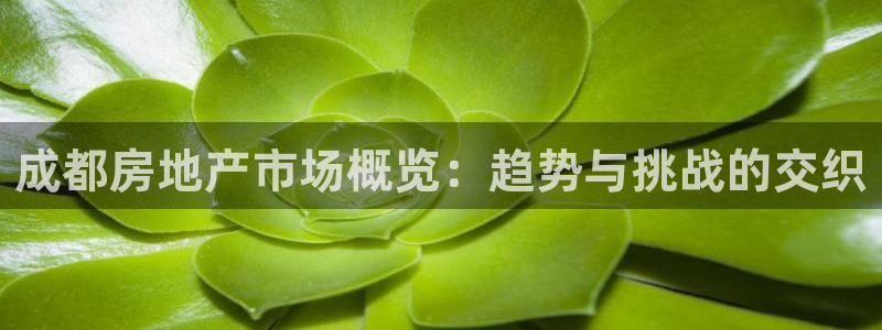 新宝5 - 测速登陆：成都房地产市场概览：趋势与挑战的交织