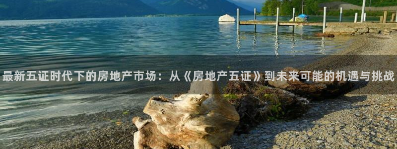 新宝5登录不了：最新五证时代下的房地产市场：从《房地产五证》