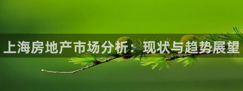 新宝5可靠吗：上海房地产市场分析：现状与趋势展望